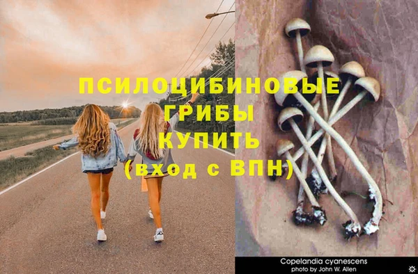 гидра Киреевск