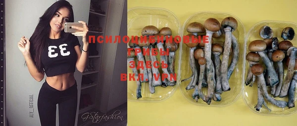 гидра Киреевск