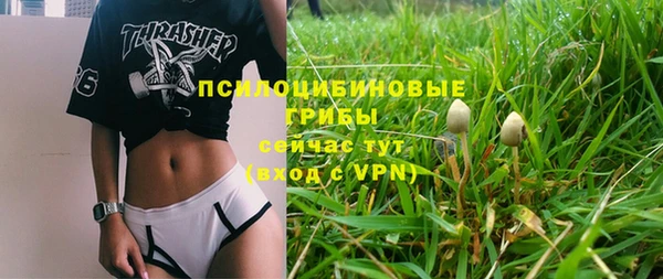 гидра Киреевск