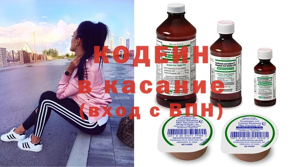 шишки Киренск