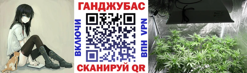 shop состав  hydra ссылки  Южно-Сухокумск  Каннабис Amnesia 